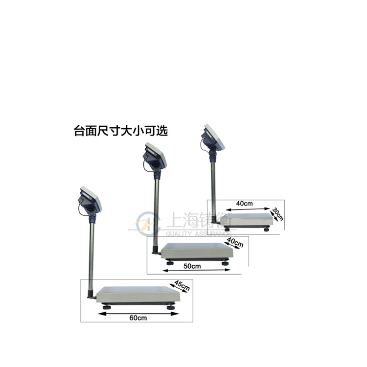電子計重秤,電子計重臺秤,小型稱重電子秤